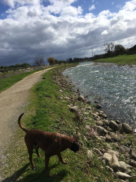 Arcobaleno Toscano Pescia Eksteriør billede